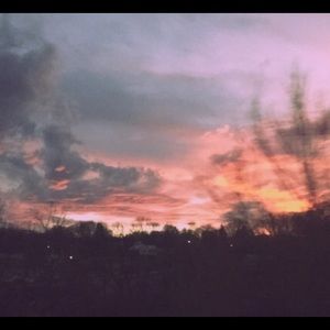 Meet your Posher, Tavi